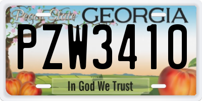 GA license plate PZW3410