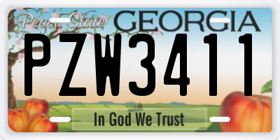 GA license plate PZW3411