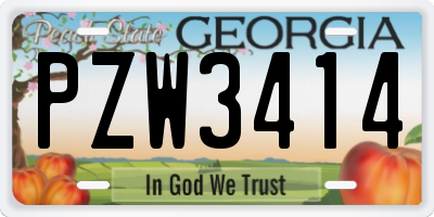 GA license plate PZW3414