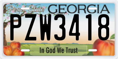 GA license plate PZW3418