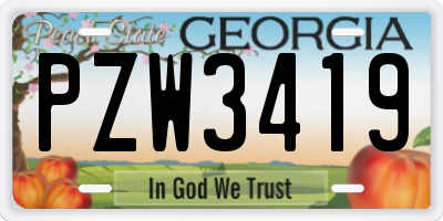 GA license plate PZW3419