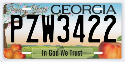 GA license plate PZW3422