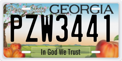 GA license plate PZW3441