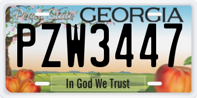 GA license plate PZW3447