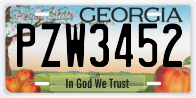 GA license plate PZW3452
