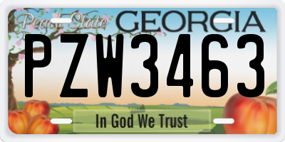 GA license plate PZW3463