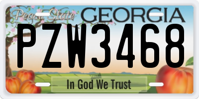 GA license plate PZW3468