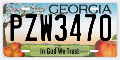 GA license plate PZW3470