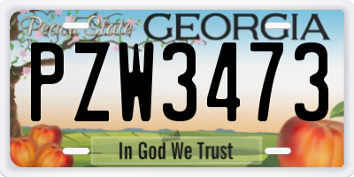 GA license plate PZW3473