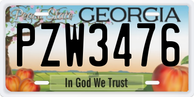 GA license plate PZW3476