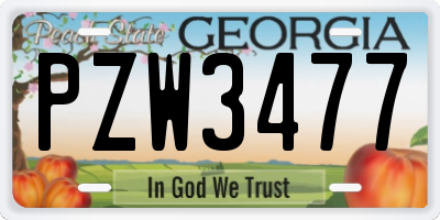 GA license plate PZW3477