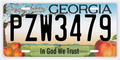 GA license plate PZW3479