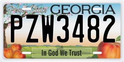 GA license plate PZW3482