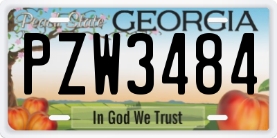 GA license plate PZW3484