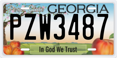 GA license plate PZW3487