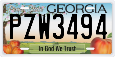 GA license plate PZW3494