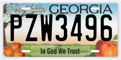 GA license plate PZW3496