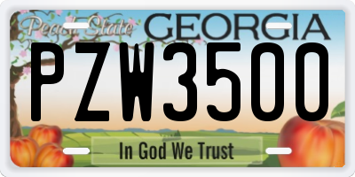 GA license plate PZW3500