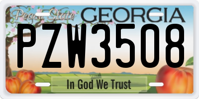 GA license plate PZW3508