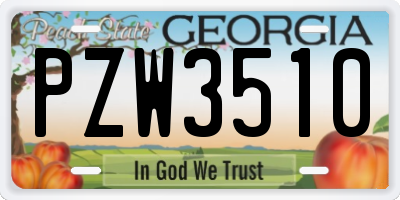 GA license plate PZW3510