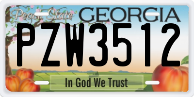 GA license plate PZW3512