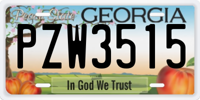 GA license plate PZW3515