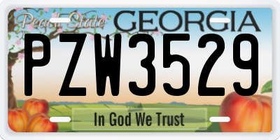 GA license plate PZW3529