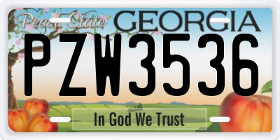GA license plate PZW3536