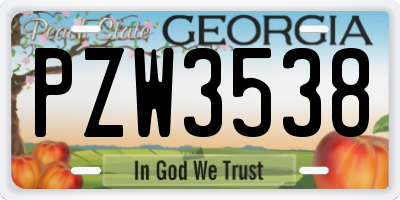 GA license plate PZW3538
