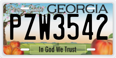 GA license plate PZW3542