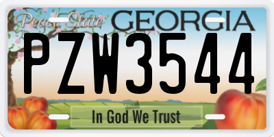 GA license plate PZW3544