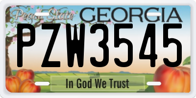 GA license plate PZW3545