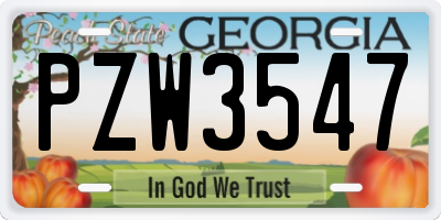 GA license plate PZW3547