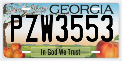 GA license plate PZW3553