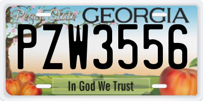 GA license plate PZW3556