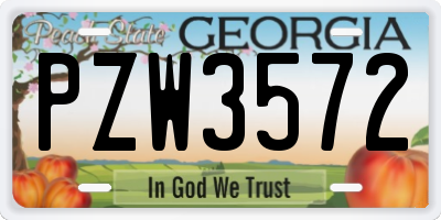 GA license plate PZW3572