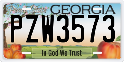 GA license plate PZW3573