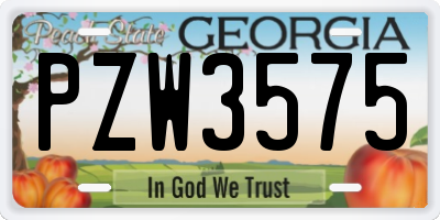 GA license plate PZW3575