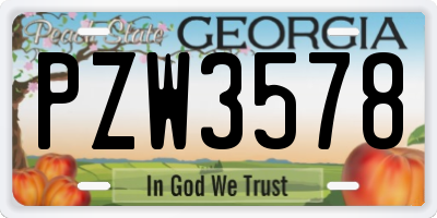 GA license plate PZW3578