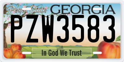GA license plate PZW3583
