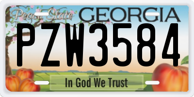 GA license plate PZW3584