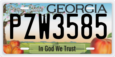 GA license plate PZW3585