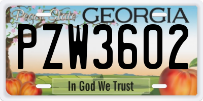 GA license plate PZW3602