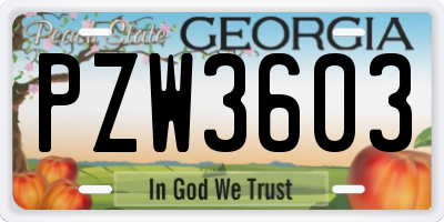 GA license plate PZW3603