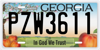 GA license plate PZW3611