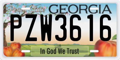 GA license plate PZW3616