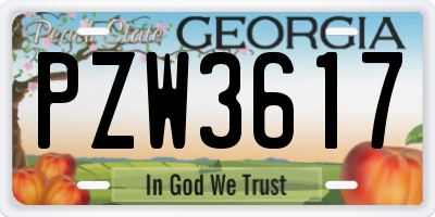 GA license plate PZW3617