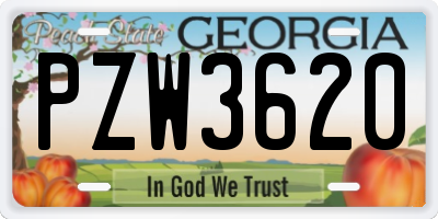 GA license plate PZW3620