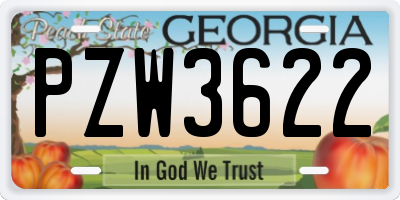 GA license plate PZW3622