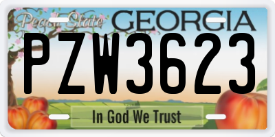 GA license plate PZW3623